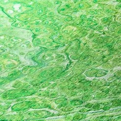 Copeland Lime 1 ft. 8 in. x 2 ft. 6 in. Abstract Accent Rug by Addison Rugs -TrafficMaster Decor Store lime addison rugs area rugs hdkc5lm20x30 4f 1000