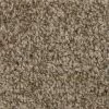 Hartsfield - Color Skypoint Indoor 12 ft. Texture Beige Carpet (1080 sq. ft./Roll) by TrafficMaster -TrafficMaster Decor Store skypoint trafficmaster roll carpet h2022 1815 1200 64 1000