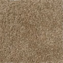 Hot Shot II - Color Tuscan Indoor 12 ft. Texture Beige Carpet by TrafficMaster