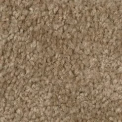 Hot Shot II - Color Tuscan Indoor 12 ft. Texture Beige Carpet by TrafficMaster -TrafficMaster Decor Store tuscan trafficmaster cut to length h2004 402 1200 ab 76 1000