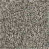 Prancer - Color Woodland Indoor 12 ft. Texture Beige Carpet (1080 sq. ft./Roll) by TrafficMaster -TrafficMaster Decor Store woodland trafficmaster roll carpet h2036 267 1200 64 1000