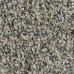 Prancer - Color Woodland Indoor 12 ft. Texture Beige Carpet (1080 sq. ft./Roll) by TrafficMaster 16 Prancer - Color Woodland Indoor 12 ft. Texture Beige Carpet (1080 sq. ft./Roll) by TrafficMaster -TrafficMaster Decor Store woodland trafficmaster roll carpet h2036 267 1200 d4 1000