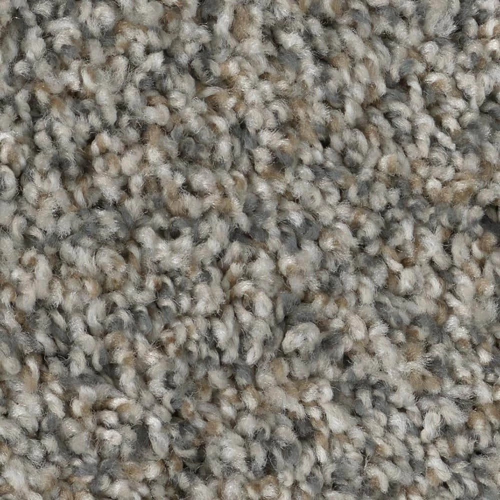 Prancer - Color Woodland Indoor 12 ft. Texture Beige Carpet (1080 sq. ft./Roll) by TrafficMaster 9 Prancer - Color Woodland Indoor 12 ft. Texture Beige Carpet (1080 sq. ft./Roll) by TrafficMaster - Image 7
